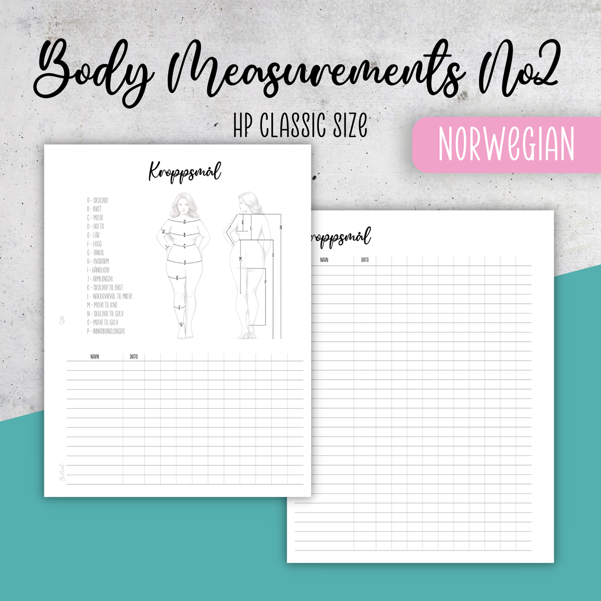 Body Measurements No2, Classic Size Insert